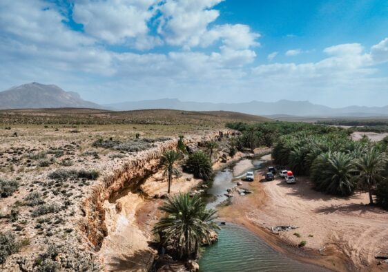 île Socotra