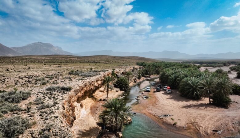 île Socotra