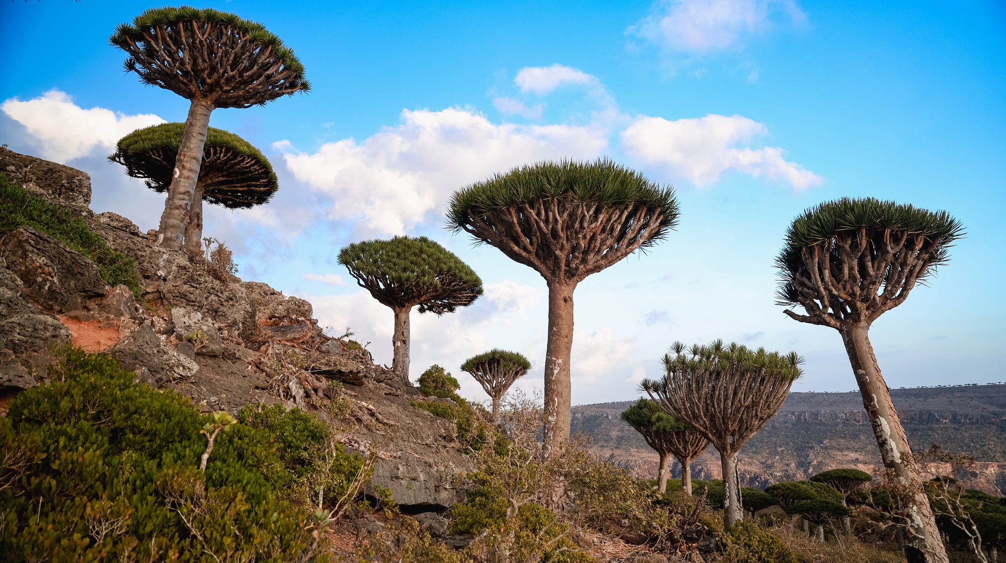 paysages étranges