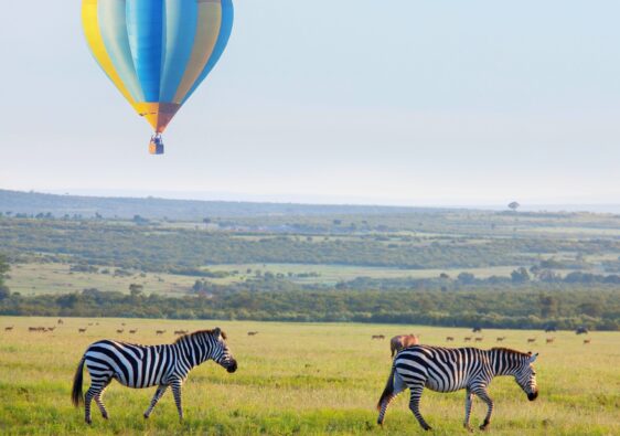 safari en montgolfière