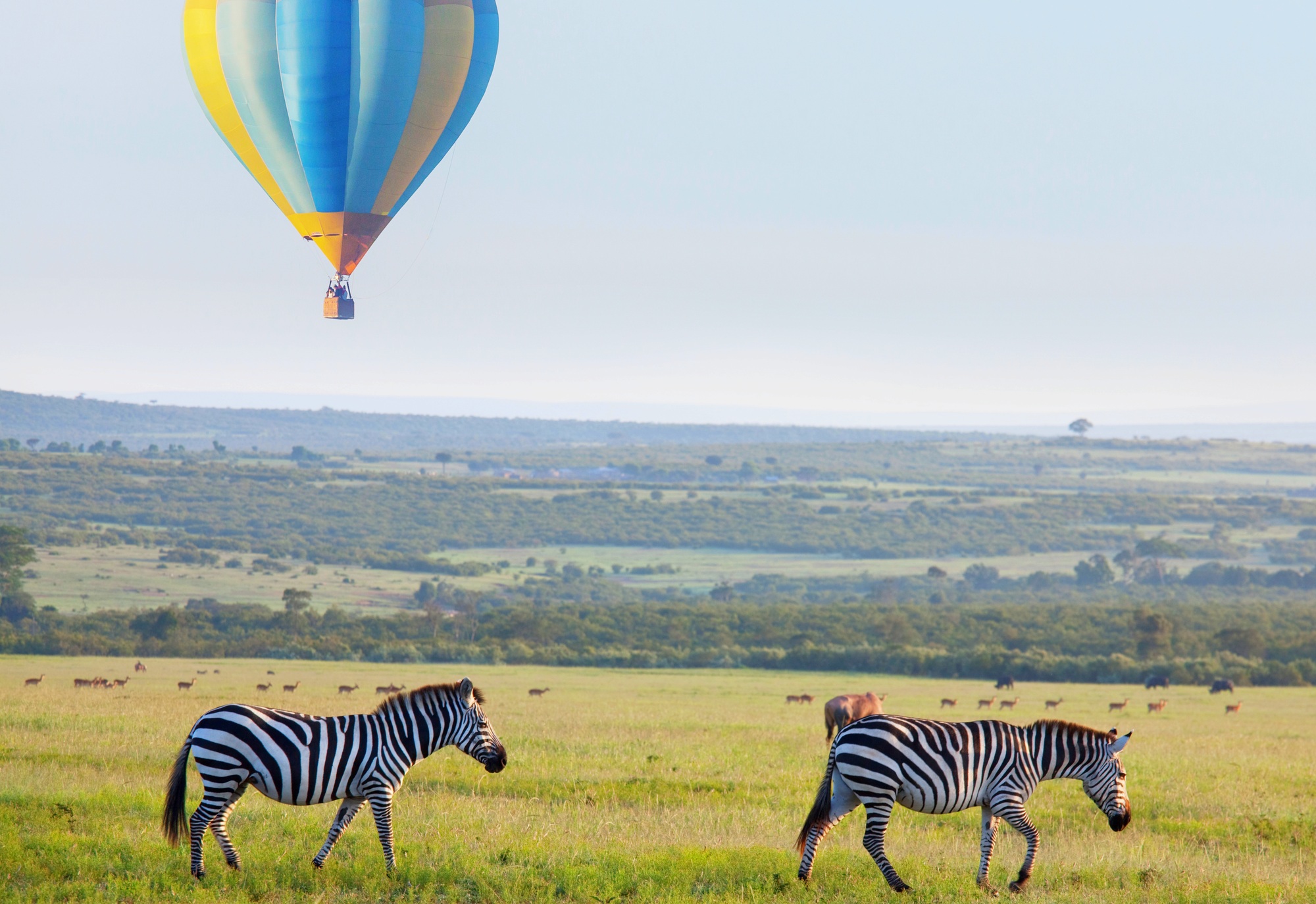 safari en montgolfière