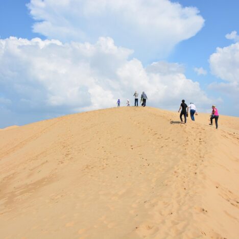 Découvrez notre blog voyage au Chili pour des aventures inoubliables