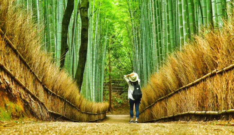 forêt de bambous d’Arashiyama