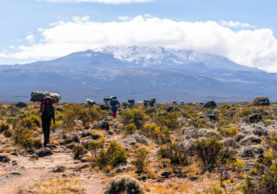 ascension du Kilimandjaro
