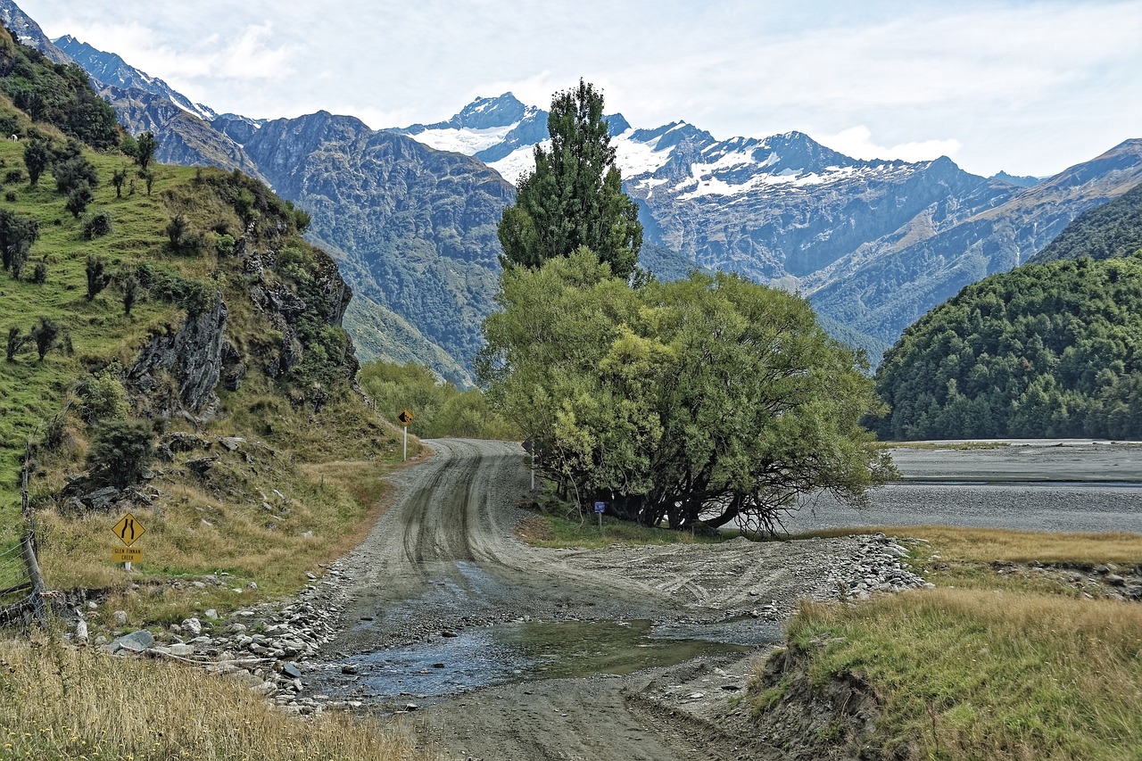 nature sauvage