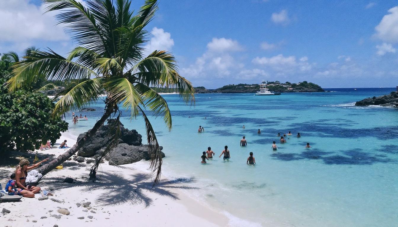 découvrez notre sélection exclusive des meilleurs hôtels à mayotte pour un séjour inoubliable alliant confort, charme et authenticité au cœur de l'océan indien.