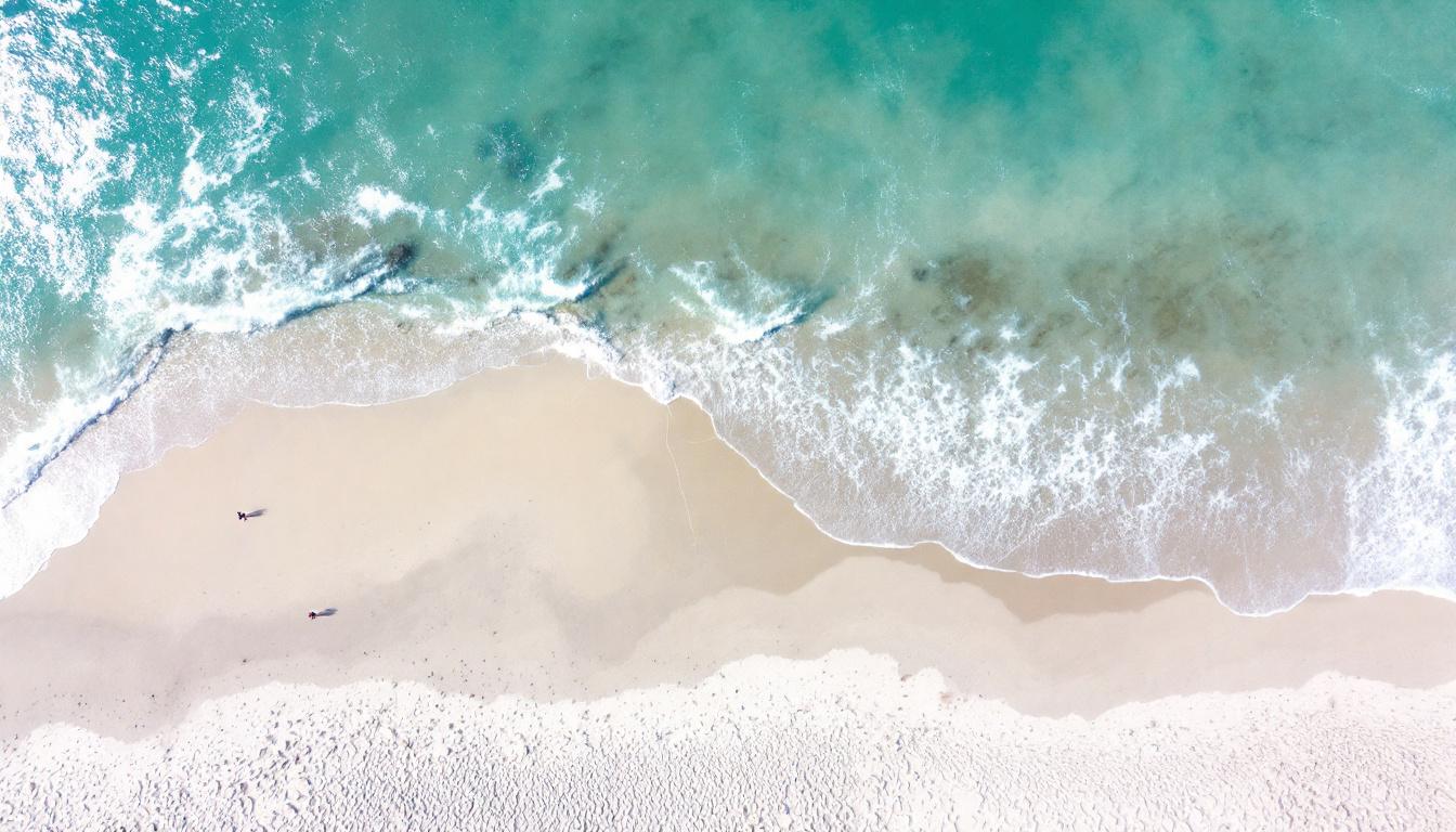 trouvez les meilleurs hôtels en martinique pour des vacances mémorables. profitez d'un séjour confortable et découvrez les trésors de cette île paradisiaque.