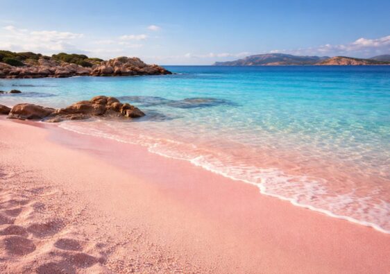 découvrez la magie de spiaggia rosa à travers des photos captivantes qui immortalisent la beauté unique de la célèbre plage rose.